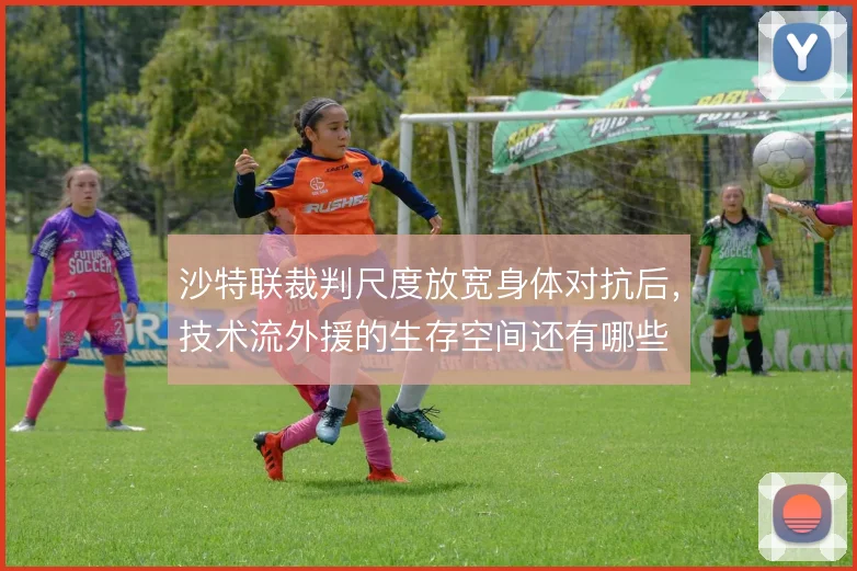 沙特联裁判尺度放宽身体对抗后,技术流外援的生存空间还有哪些
